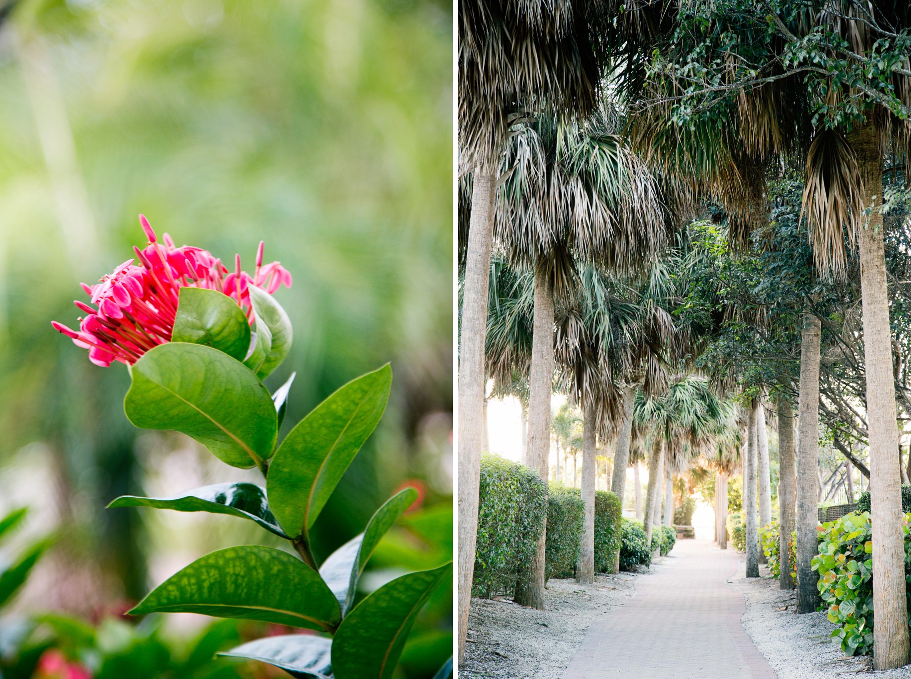 1-Florals-Palm-Trees-Florida-Photographer-Seattle-Wedding-Photography-by-Betty-Elaine