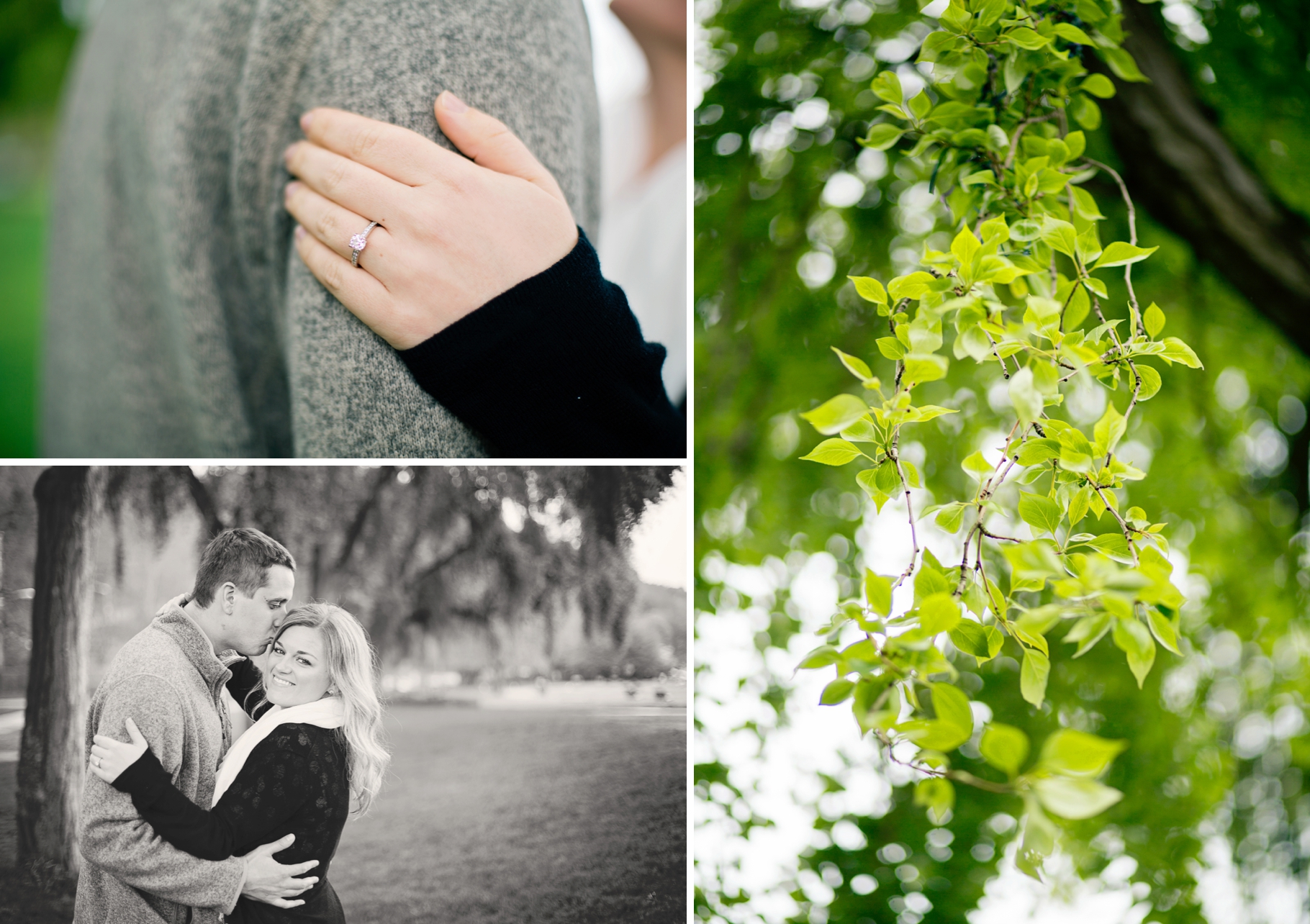 3-Engaged-Golden-Gardens-Park-Ballard-Spring-Engagement-Ring-Willow-Tree-Rainy-Day-Seattle-Photographer-Wedding-Photography-by-Betty-Elaine