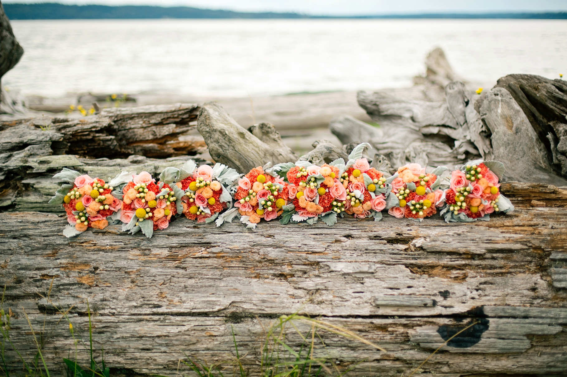 18-Bridesmaid-Bouquets-Colorful-Dusty-Miller-Love-Blooms-Events-Florist-Waterfront-Pudget-Sound-Driftwood-Normandy-Cove-Beach-Wedding-Photographer-Bride-Groom-Seattle-Wedding-Photography-Northwest