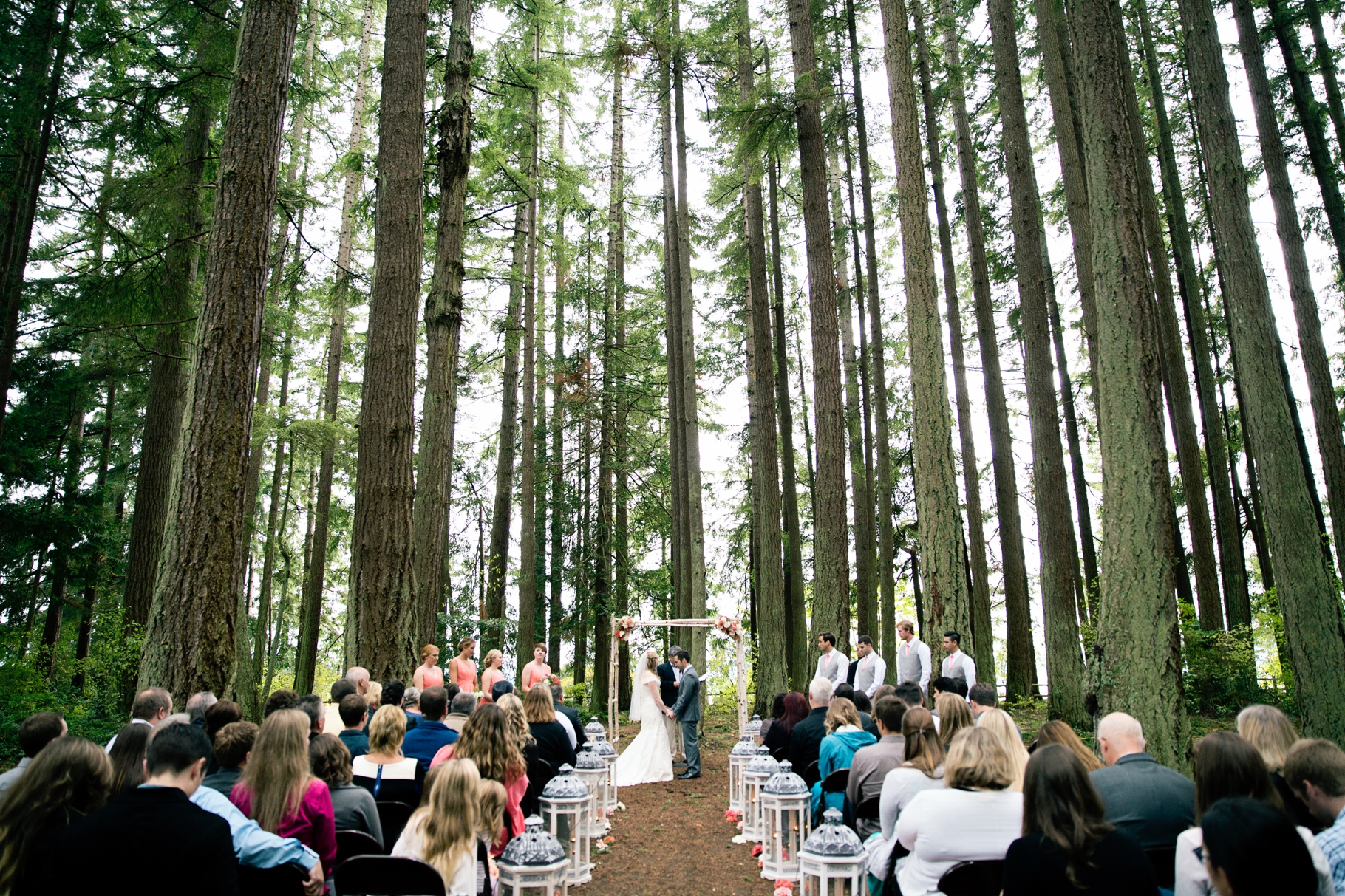 37-Ceremony-Bride-Groom-Vows-wooded-bluff-olympic-mountains-Kitsap-Memorial-State-Park-Forest-Northwest-Photographer-Seattle-Wedding-Photography-by-Betty-Elaine