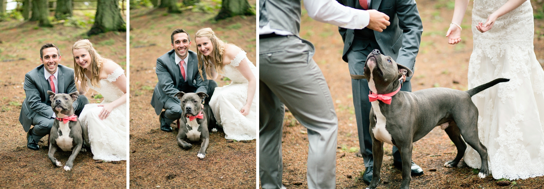 48-Bride-Groom-Portraits-Dog-Family-wooded-bluff-olympic-mountains-log-cabin-Kitsap-Memorial-State-Park-Forest-Northwest-Photographer-Seattle-Wedding-Photography-by-Betty-Elaine