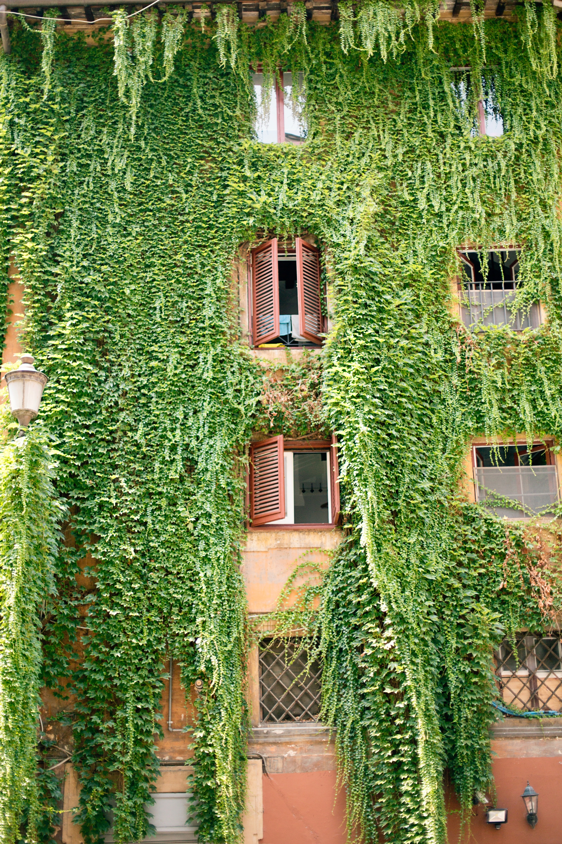 5-Ivy-old-buildings-Rome-Italy-Europe-Travel-Anniversary-Trip-Photography-by-Betty-Elaine