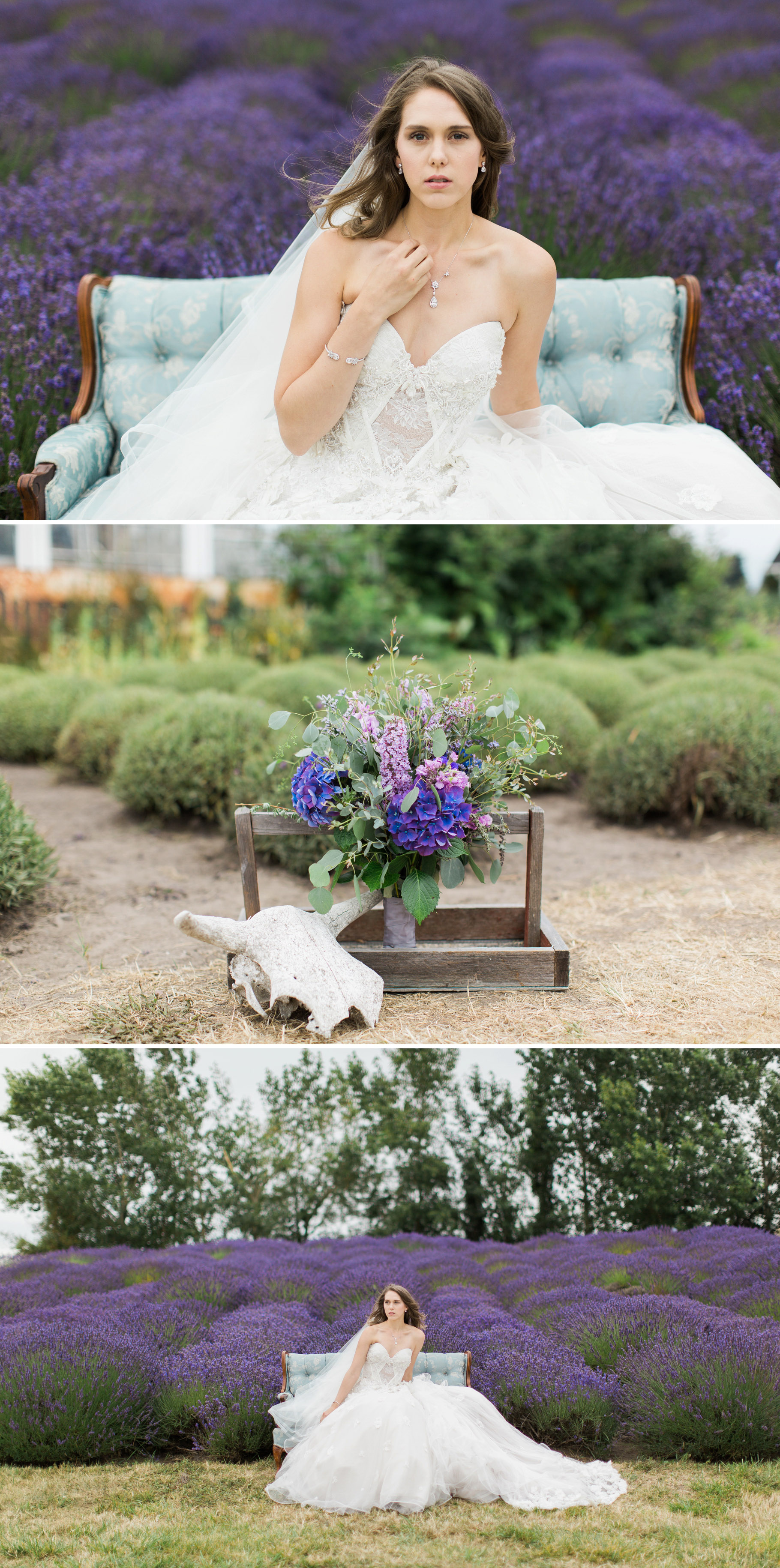 Lavender-Farm-Sequim-Jardin-Du-Soleil-Seattle-Bride-Wedding-Photographer-Photography-by-Betty-Elaine_0001