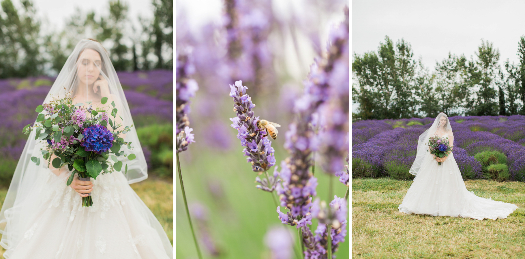 Lavender-Farm-Sequim-Jardin-Du-Soleil-Seattle-Bride-Wedding-Photographer-Photography-by-Betty-Elaine_0005