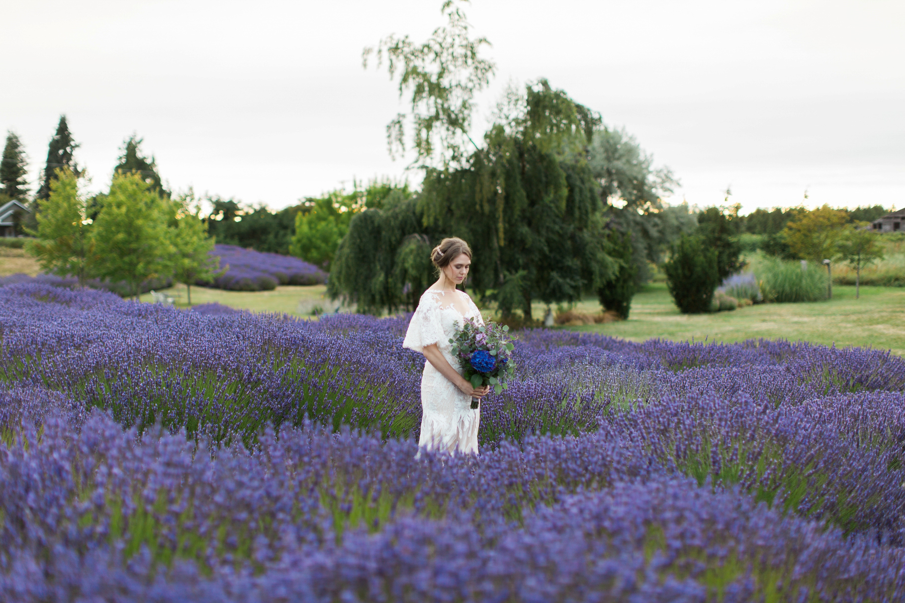 Lavender-Farm-Sequim-Jardin-Du-Soleil-Seattle-Bride-Wedding-Photographer-Photography-by-Betty-Elaine_0012