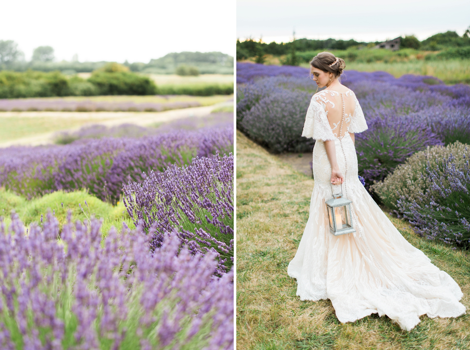 Lavender-Farm-Sequim-Jardin-Du-Soleil-Seattle-Bride-Wedding-Photographer-Photography-by-Betty-Elaine_0016