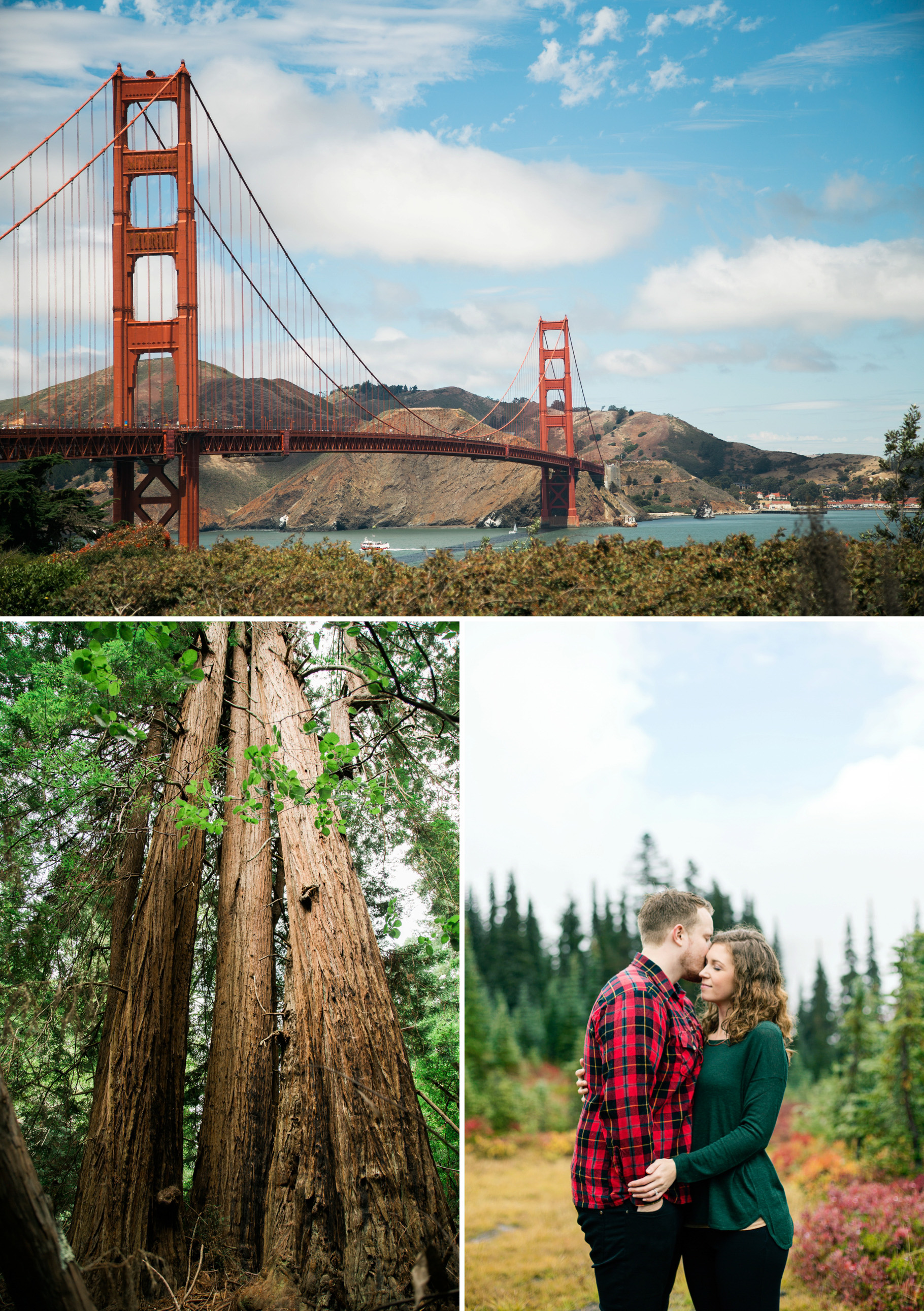 2-Travel-dates-PNW-Photography-San-Francisco-Cannon-Beach-Muir-Woods-Mt-Rainier-West-Coast-Tour-Wedding-Photographer