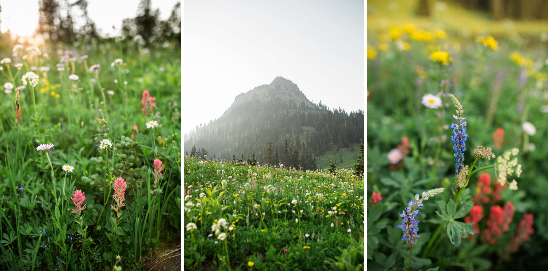 Tipsoo-Lake-Mt-Rainier-Wildflowers-Wedding-Photographer-Seattle-Photography-21