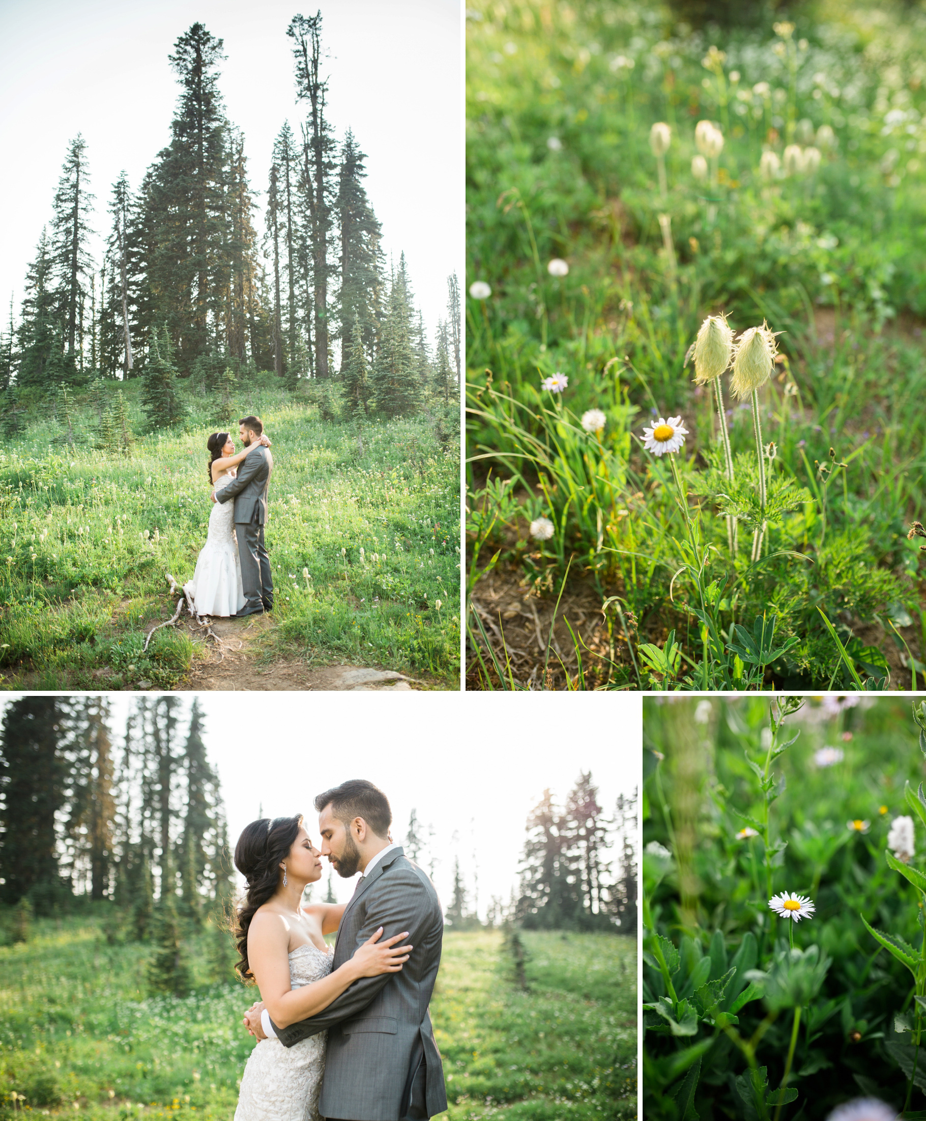 Tipsoo-Lake-Mt-Rainier-Wildflowers-Wedding-Photographer-Seattle-Photography-25