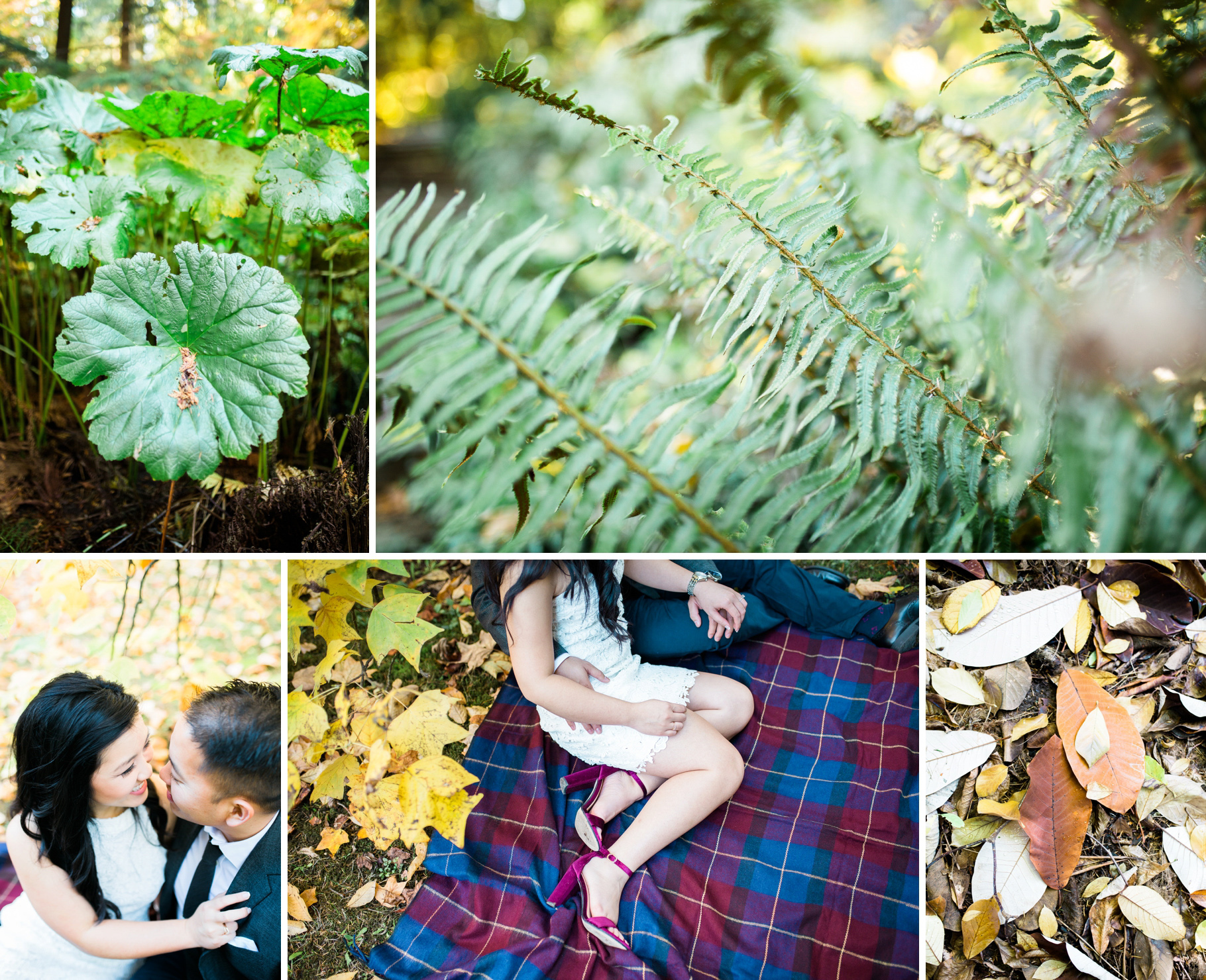 Washinton-Park-Arboretum-Engaged-Seattle-Wedding-Photographer_0017